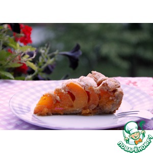 ����������-���������� ����� �� �������� ����