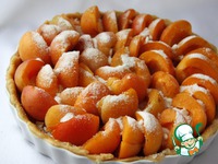 ����������-���������� ����� �� �������� ���� �����������