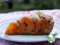 ����������-���������� ����� �� �������� ���� �����������