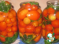 ������������ ������ � ����������� ���� �����������