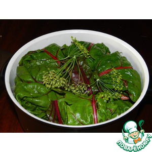 ������� "��������"