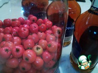 �������� ���������� �����������