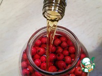 �������� ���������� �����������