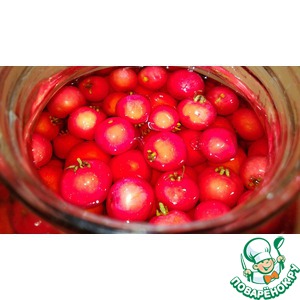 �������� ����������