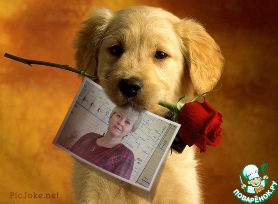 ��� �������