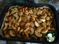 �����-��������� ����� � �������� �����������