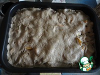 �����-��������� ����� � �������� �����������