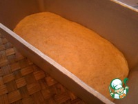 ���� ��������� �����������