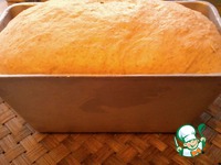 ���� ��������� �����������