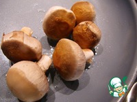 ������ ����� �� ������ ������ �����������