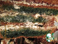 ���� �� ����� "���������� ������" �����������