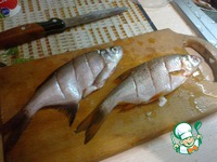 ���������� ������ ���� �����������