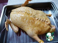 ���� ��� ������ ��� �������� �����������