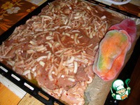 ������� ���������� ������� �����������