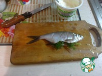 ���������� ������ ���� �����������