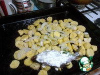 ���������� ������ ���� �����������