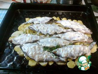 ���������� ������ ���� �����������