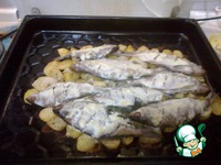 ���������� ������ ���� �����������