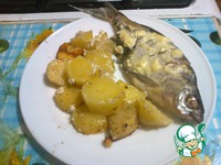 ���������� ������ ���� �����������