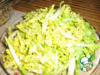 ����� "��������" �����������