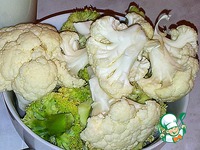 ������� ������� � �������� � ����� �����������