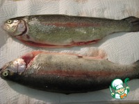 ������, ���������� � ������� "�����" �����������