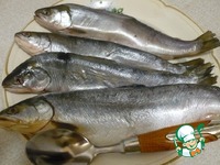 ������������� ���� "��������" �����������