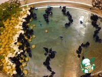 ������������� ���� "��������" �����������