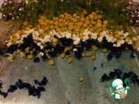 ������������� ���� "��������" �����������