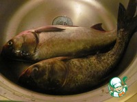 ���� �� ���� � ����������� �����������