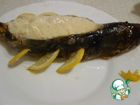 ������������� ���� "��������" �����������