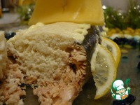 ������������� ���� "��������" �����������