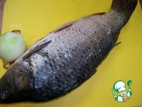 �������������� ���� ��-������ �����������