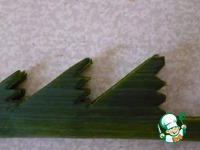 ����� "�������" �����������