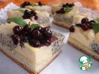 ��������-������� ����� � ������� �����������