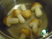 ������� �� ������� �����������