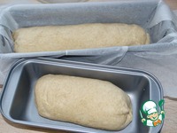 ���� ��������-�������������� � ������� �����������