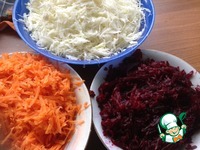 ����� "���������� ��������" �����������