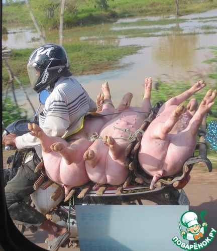 ��������� ������: ������ �� ���� ��������