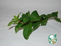 ����� � ������� � ���������� �����������