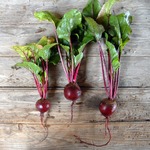 ��� ������ ����������� ����� ��� ��������� (��� ������� ������))