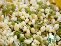 ����� "����������" �����������