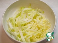 ����� "����������" �����������