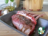 ���� ������� � �����-����������� �������� �����������