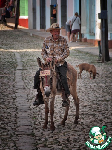 ����������� � ������� (����, ������� 2013)