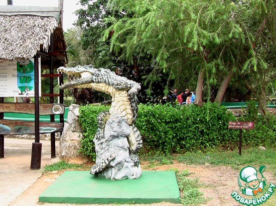 вход на крокодилью ферму