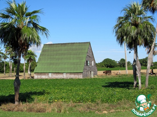 ����� ������ � ������� ������ �� ����