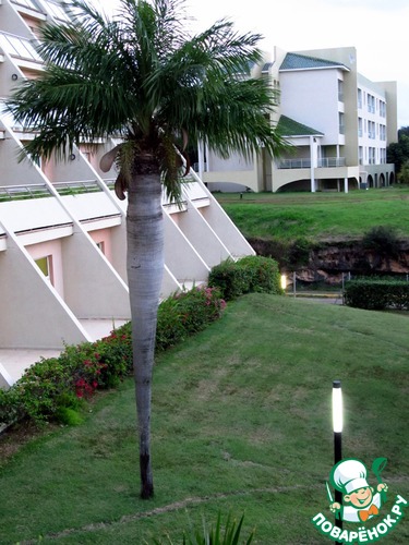 ����������� � ������� (����, ������� 2013)