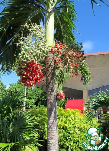 Возвращение в прошлое (Куба, декабрь 2013)