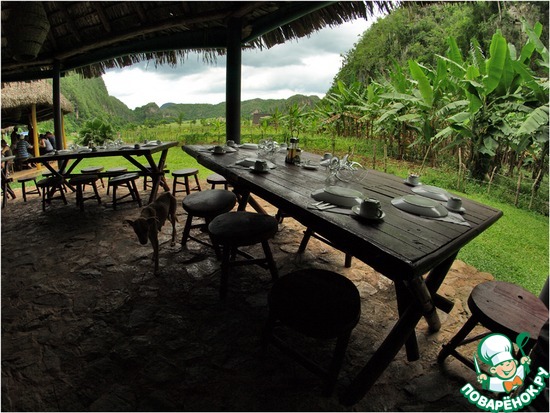 ���� ����������...